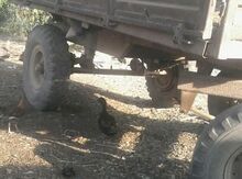 Dırmığ və ot bicən "Lapet"