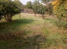 6 sot torpaq sahəsi, Mingəçevir r.