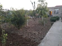 9 sot torpaq sahəsi, Binə qəs.