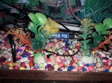 Akvarium