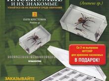Журнал "Насекомые и их знакомые"