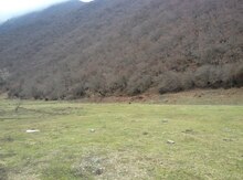 12 sot torpaq sahəsi, Qax r.