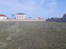 25 sot torpaq sahəsi, Albalı q.
