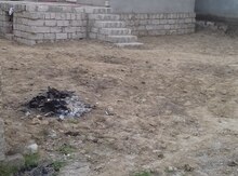1.5 sot torpaq sahəsi, Maştağa qəs.
