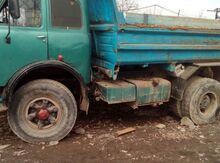 Maz, 1981 il