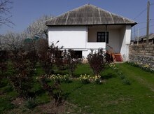 3 sot torpaq sahəsi, Oğuz r.