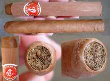 Siqar "La Flor de Cano Petit Coronas"