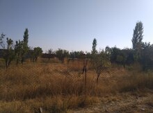 10 sot torpaq sahəsi, Naxçıvan ş.