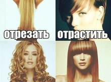 Salon xidmətləri