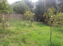 3 sot torpaq sahəsi, Naxçıvan ş.