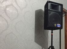 Audio sistem icarəsi