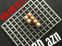 Qırqovul yumurtası qabı