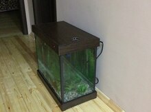 Akvarium