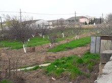 5 sot torpaq sahəsi, Fatmayı qəs.