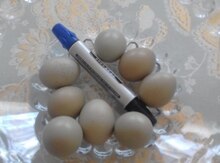 Qırqovul yumurtası