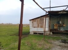 3000 sot torpaq sahəsi, Mingəçevir r.