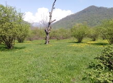 6 sot torpaq sahəsi, Oğuz r.