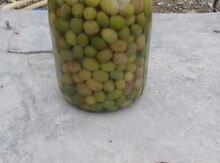 Zeytun