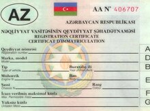 Texpasport (itmiş)