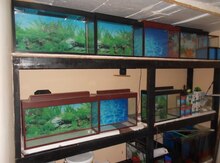 Akvarium