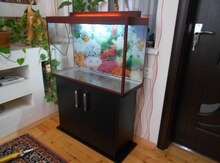 Akvarium