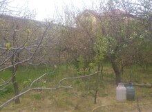 Həyət evi, Saray qəs.
