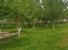 995 sot torpaq sahəsi, Hacıqabul r.