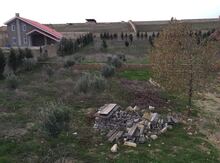 5 sot torpaq sahəsi, Saray qəs.