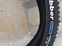 Velosiped şini