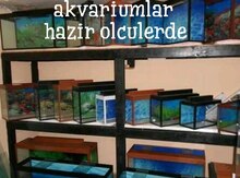 Akvarium