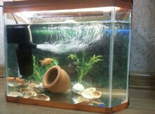 Akvarium