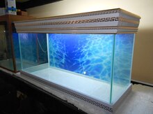Akvarium