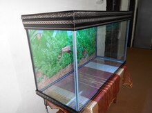 Akvarium