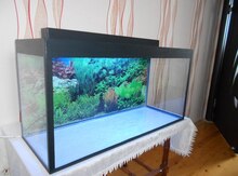Akvarium