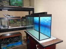 Akvarium