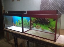 Akvarium