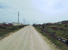 12 sot torpaq sahəsi, Çiçək qəs.