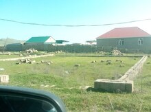 16 sot torpaq sahəsi, Qobu q.