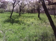 6 sot torpaq sahəsi, Quba r.
