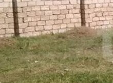 1.2 sot torpaq sahəsi, Mehdiabad qəs.