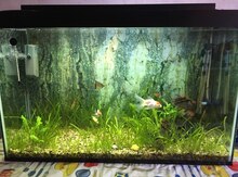 Akvarium