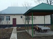 Bağ evi kirayə verilir, Qəbələ ş.