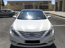 Hyundai Sonata, 2010 il