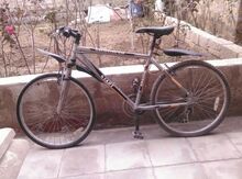 Velosiped