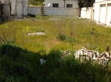 25 sot torpaq sahəsi, Gədəbəy r.