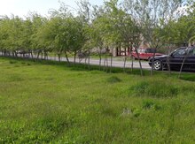 12 sot torpaq sahəsi, Bərdə r.