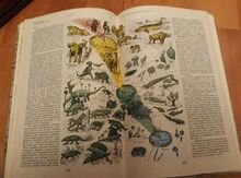 Книга "Ч.Дарвин"