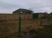 8 sot torpaq sahəsi, Albalı qəs.
