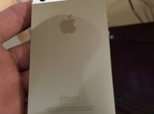 Apple iPhone 5S