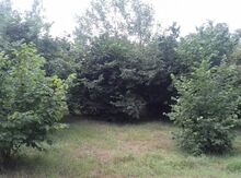 50 sot torpaq sahəsi, Nohurqışlaq kəndi
